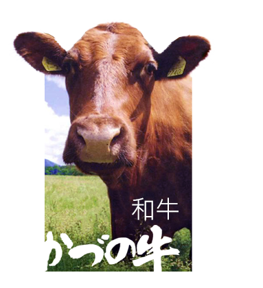 亿万28(中国)官网登录入口