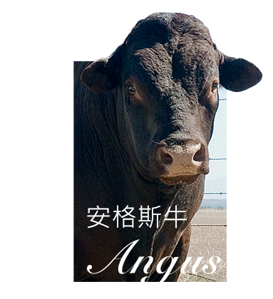 亿万28(中国)官网登录入口