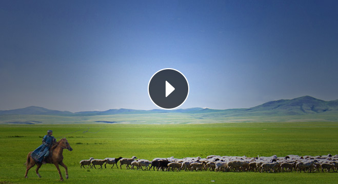 亿万28康健牛羊肉产品