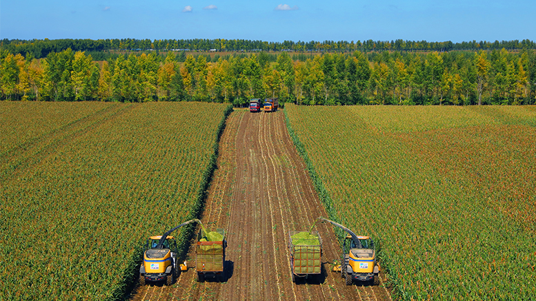 亿万28(中国)官网登录入口