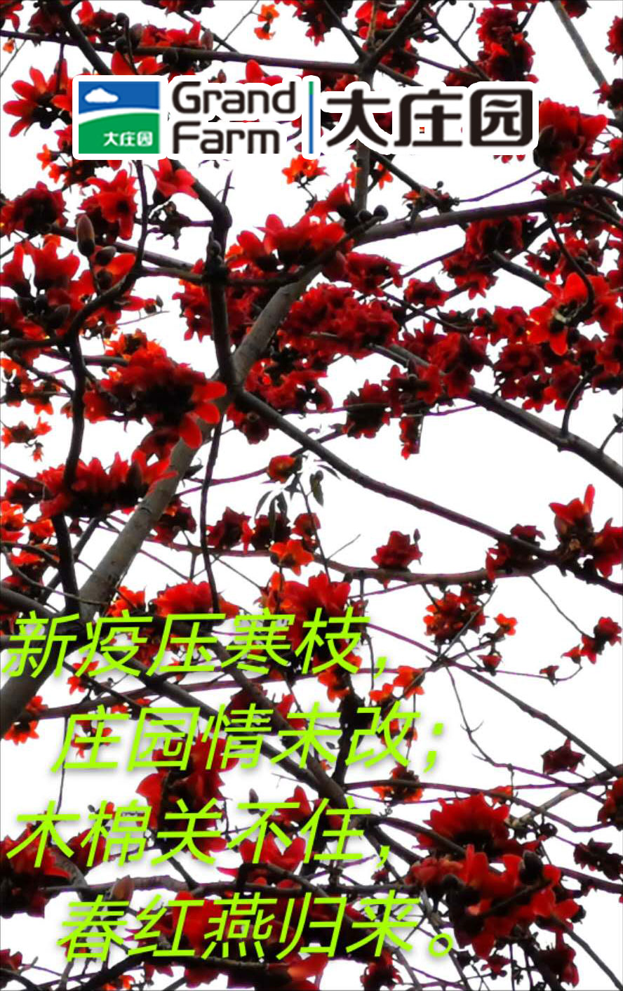 亿万28(中国)官网登录入口